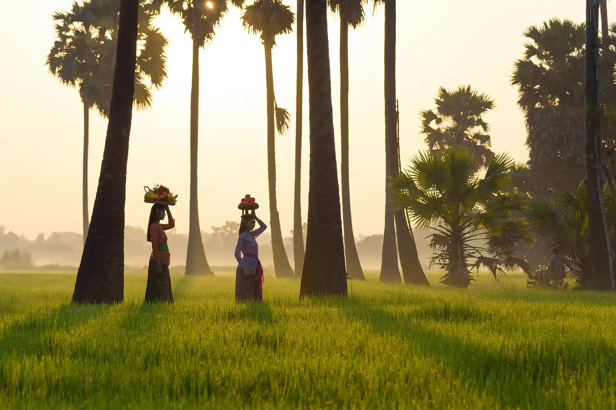 Bali Travel Guide: Sacred Rice Terraces and Slow Coastal Days