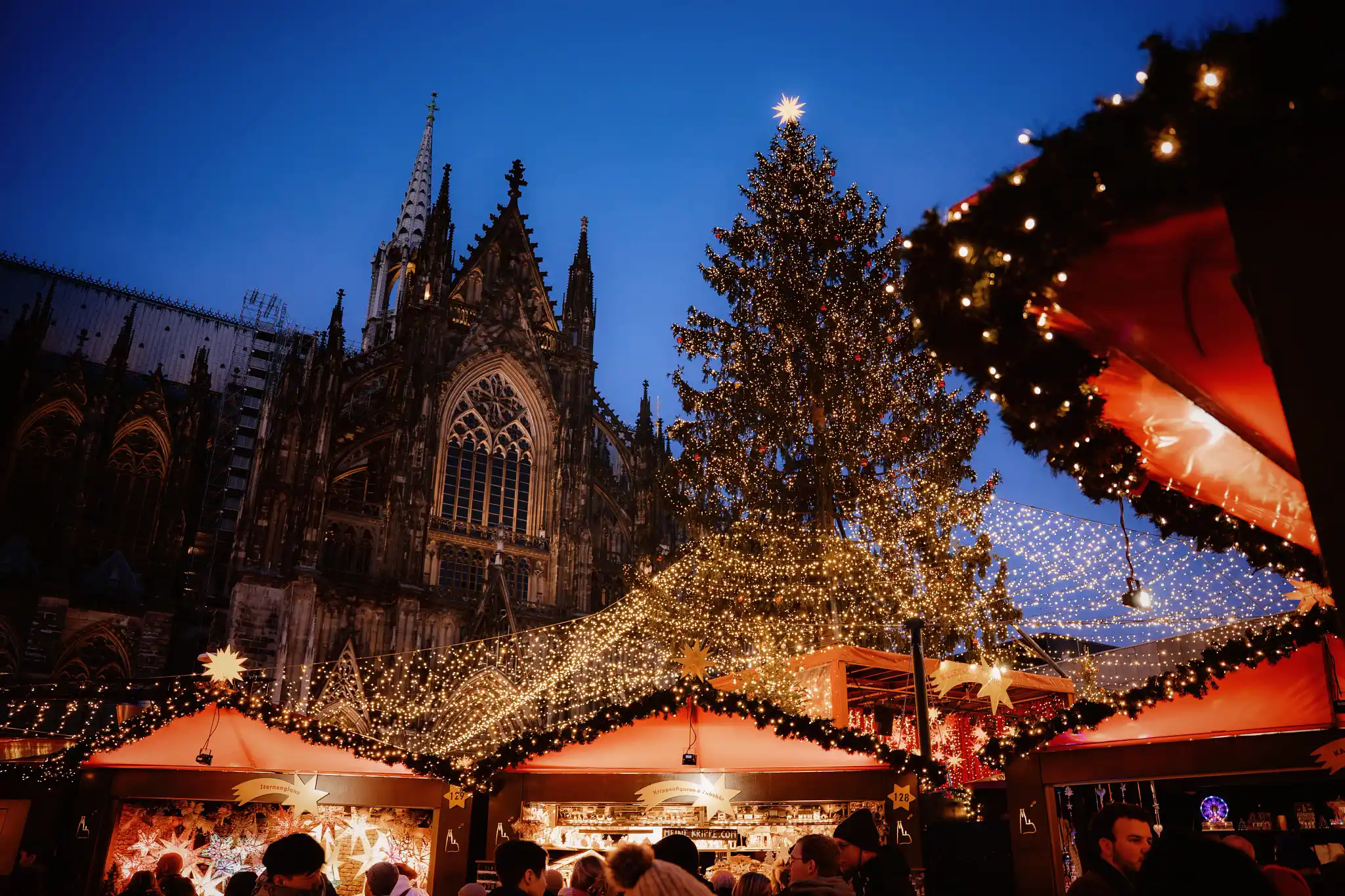 Mainz and Rhine Wine Country Guide: The Gutenberg City