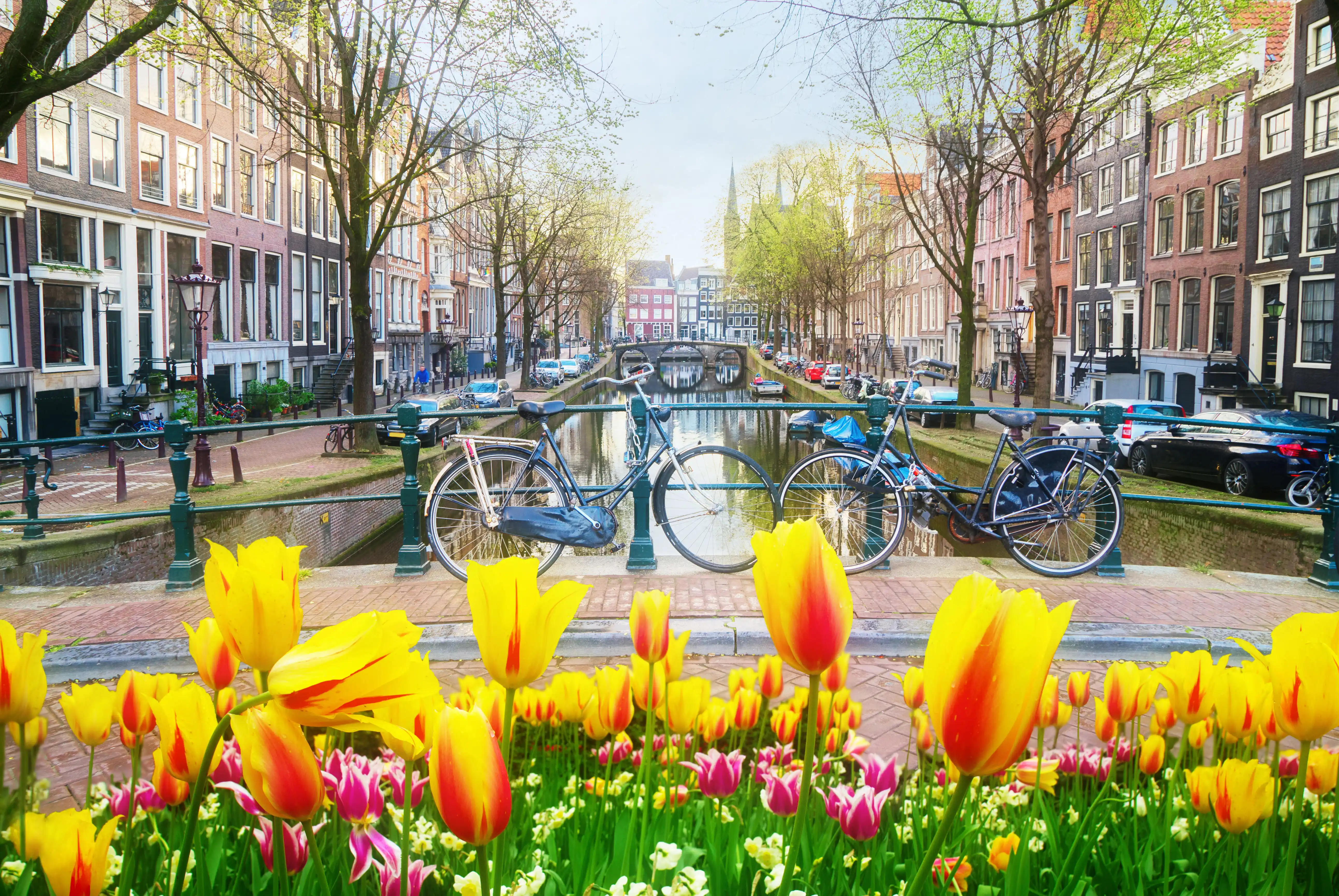 Amsterdam Travel Guide: Canals, Museums, and the Golden Age Rediscovered